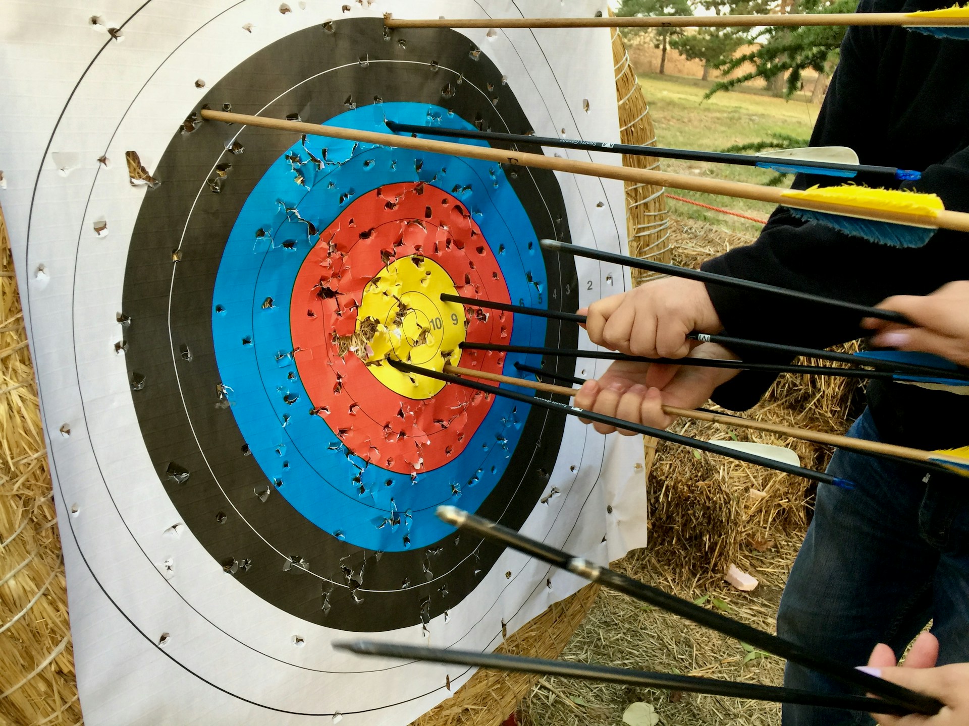 Arrows in an archery target made from straw